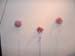 Chanda_Beck1