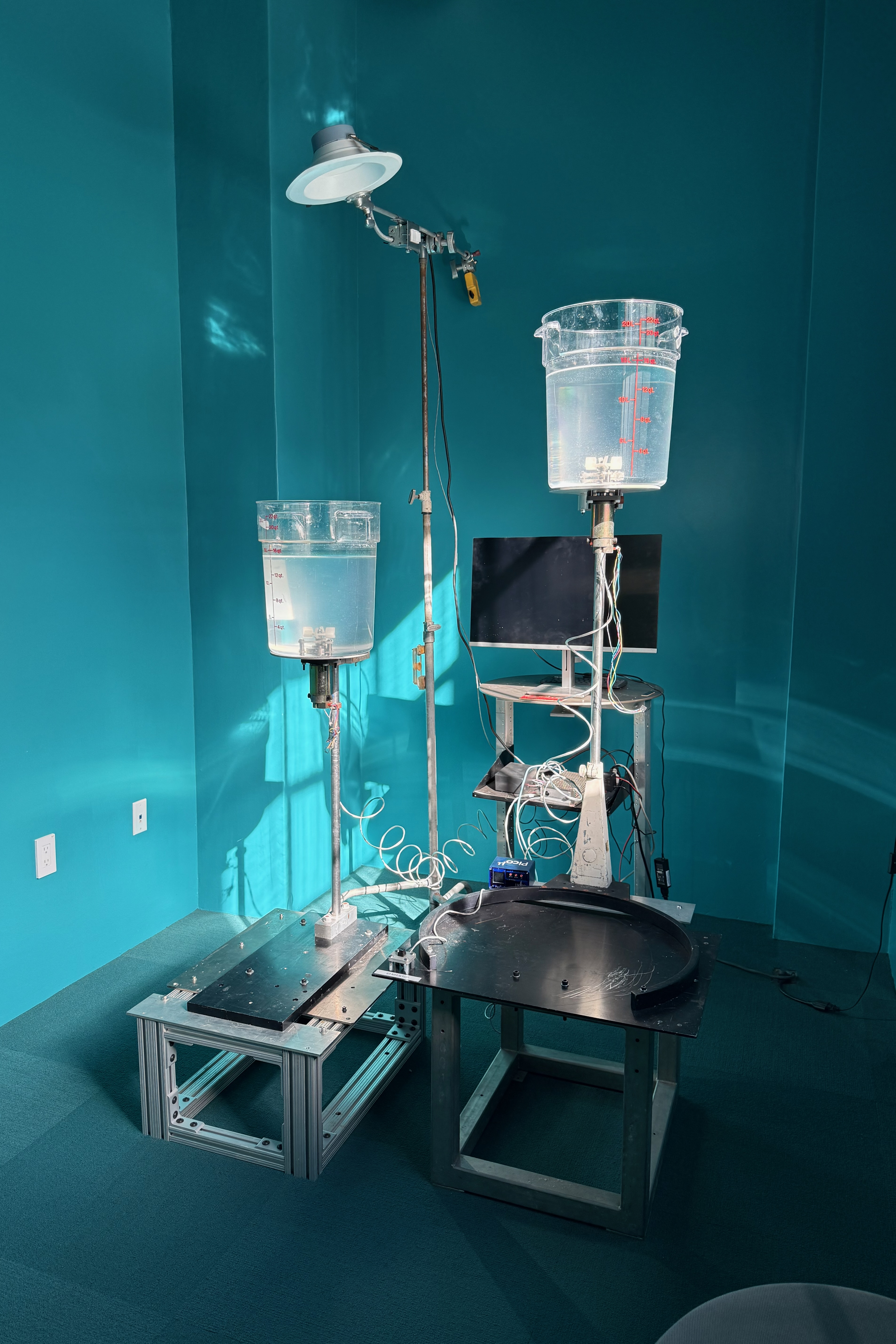 Muon/Vortex at Not/Ready Gallery